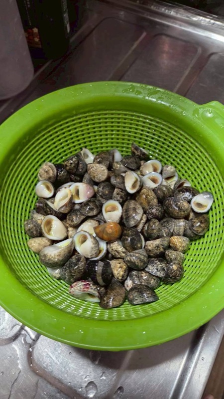 浜ちゃん観光 ツアー写真 2