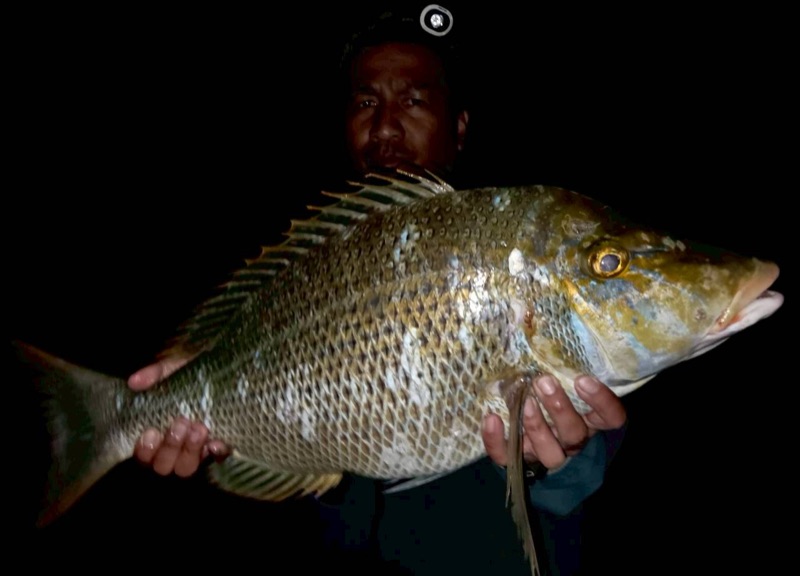 浜ちゃん観光 ツアー写真 4