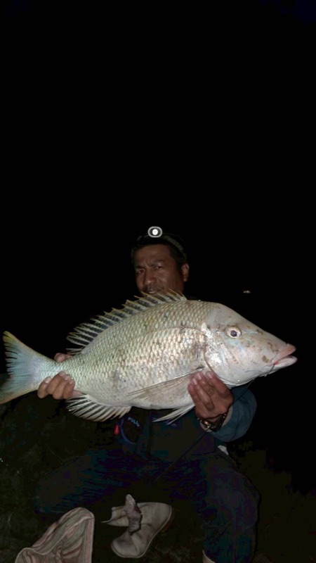 浜ちゃん観光 ツアー写真 5