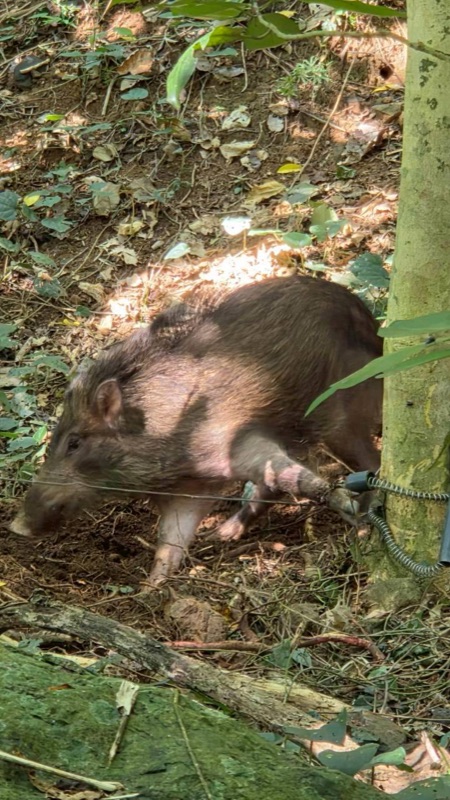 浜ちゃん観光 ツアー写真 9