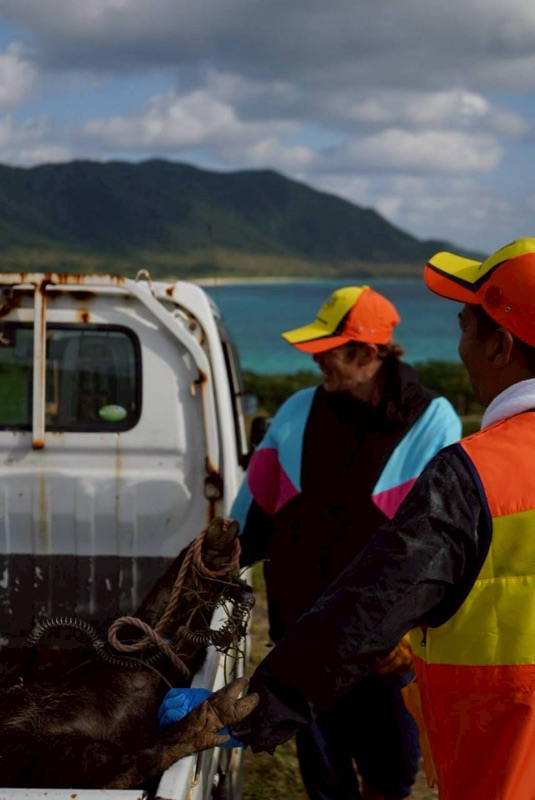 浜ちゃん観光 ツアー写真 11