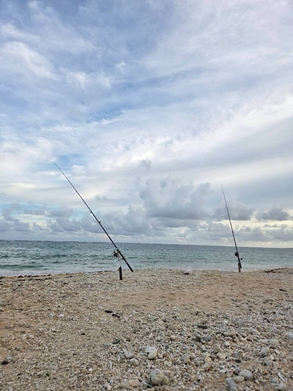 浜ちゃん観光 ツアー写真 31