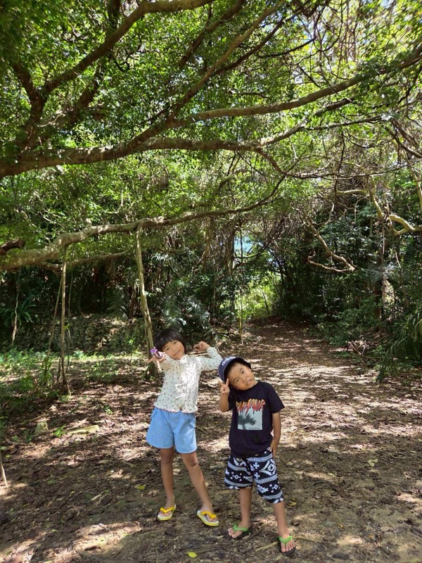 浜ちゃん観光 ツアー写真 37