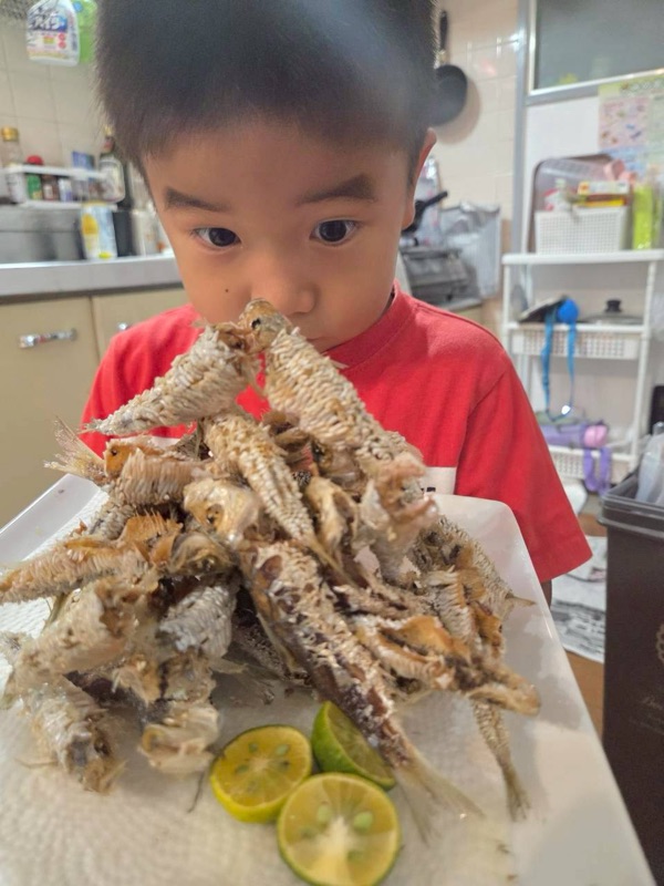 浜ちゃん観光 ツアー写真 38