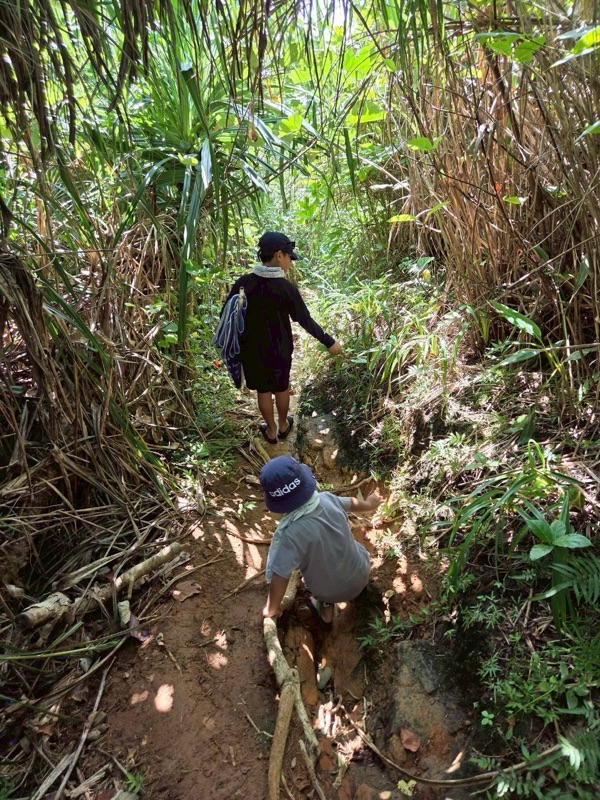 浜ちゃん観光 ツアー写真 52