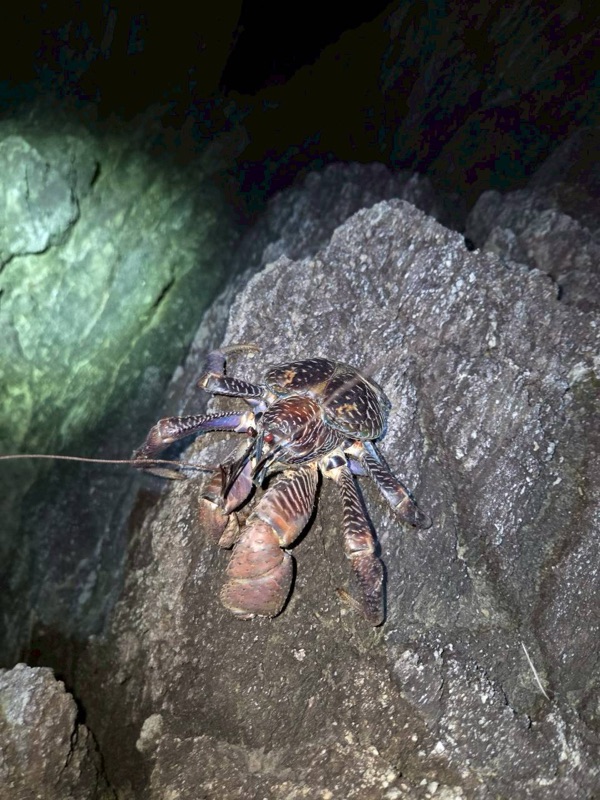 浜ちゃん観光 ツアー写真 66