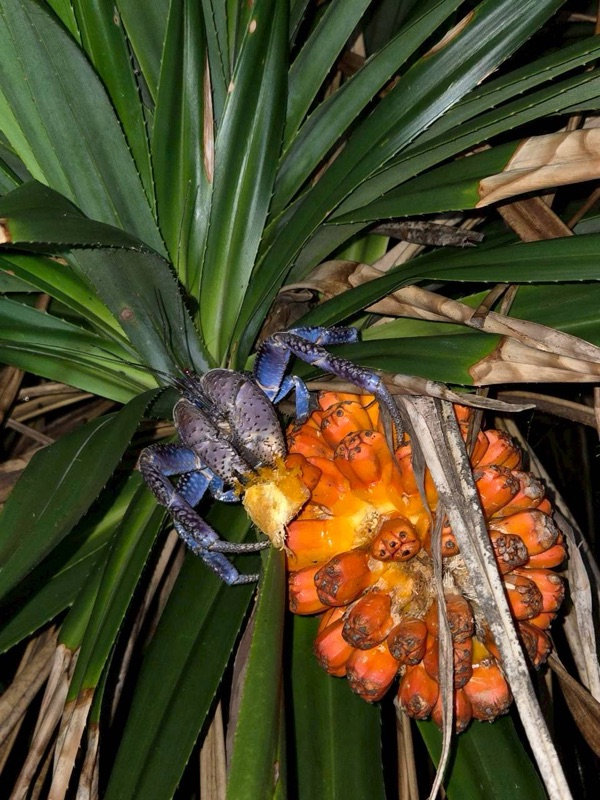 浜ちゃん観光 ツアー写真 67