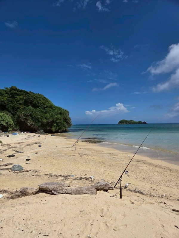 浜ちゃん観光 ツアー写真 69